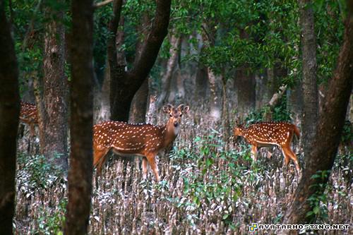 create avatar tv com avatar large picture hosting 3069024194_e02749cc15