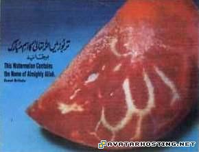 dancing avatar print avatar dvd complete islammelon