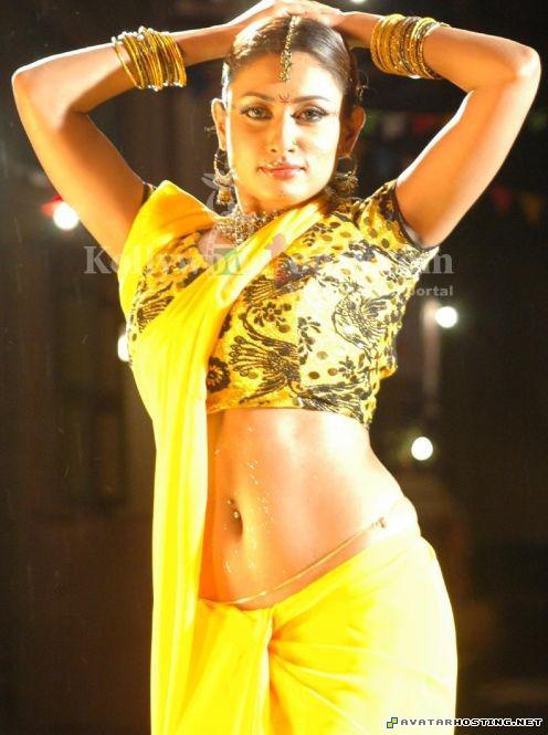 dragonflies adaptations list of animals jpg photo 273629_f496