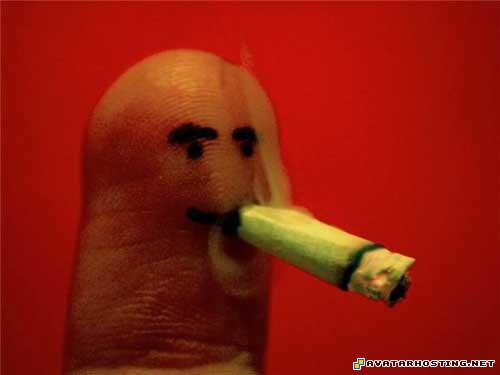 avatar books avatar the last air bender forum 292102165484