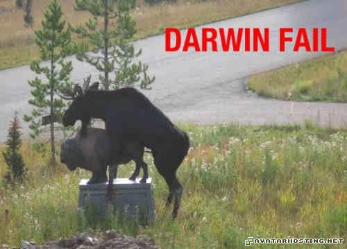 nickelodeon avatar shirts free jpg image avatar stream 82414