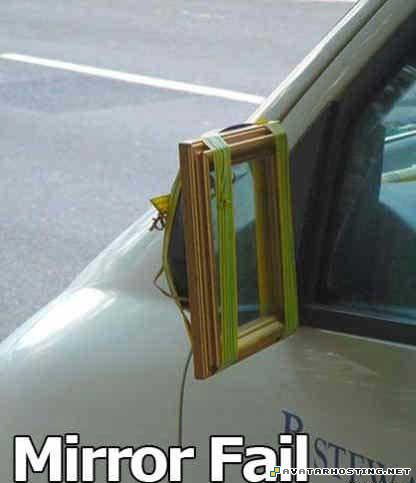 msn avatar insect species avatar mountain suites 82415