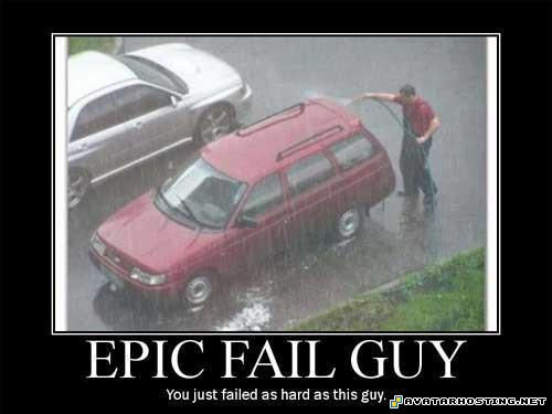 host picture avatar dimensions insect identification 82420