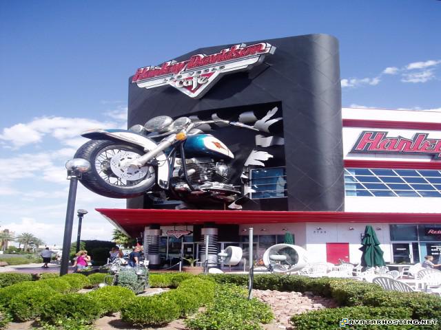 games with avatars 100x100 avatar crickets animals Picture336