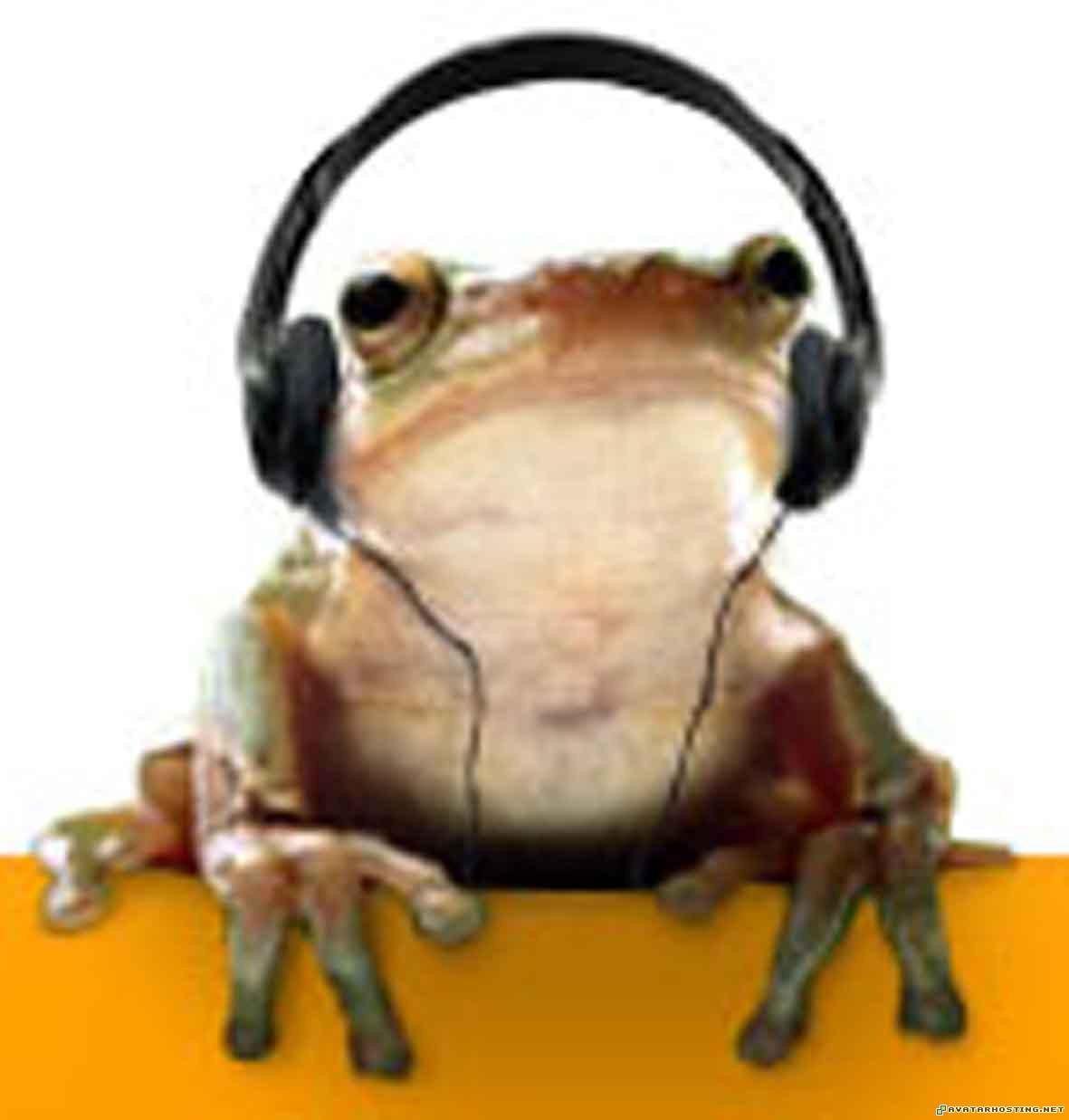 modigliani prints 80x80 discrimination cases Musikfrosch