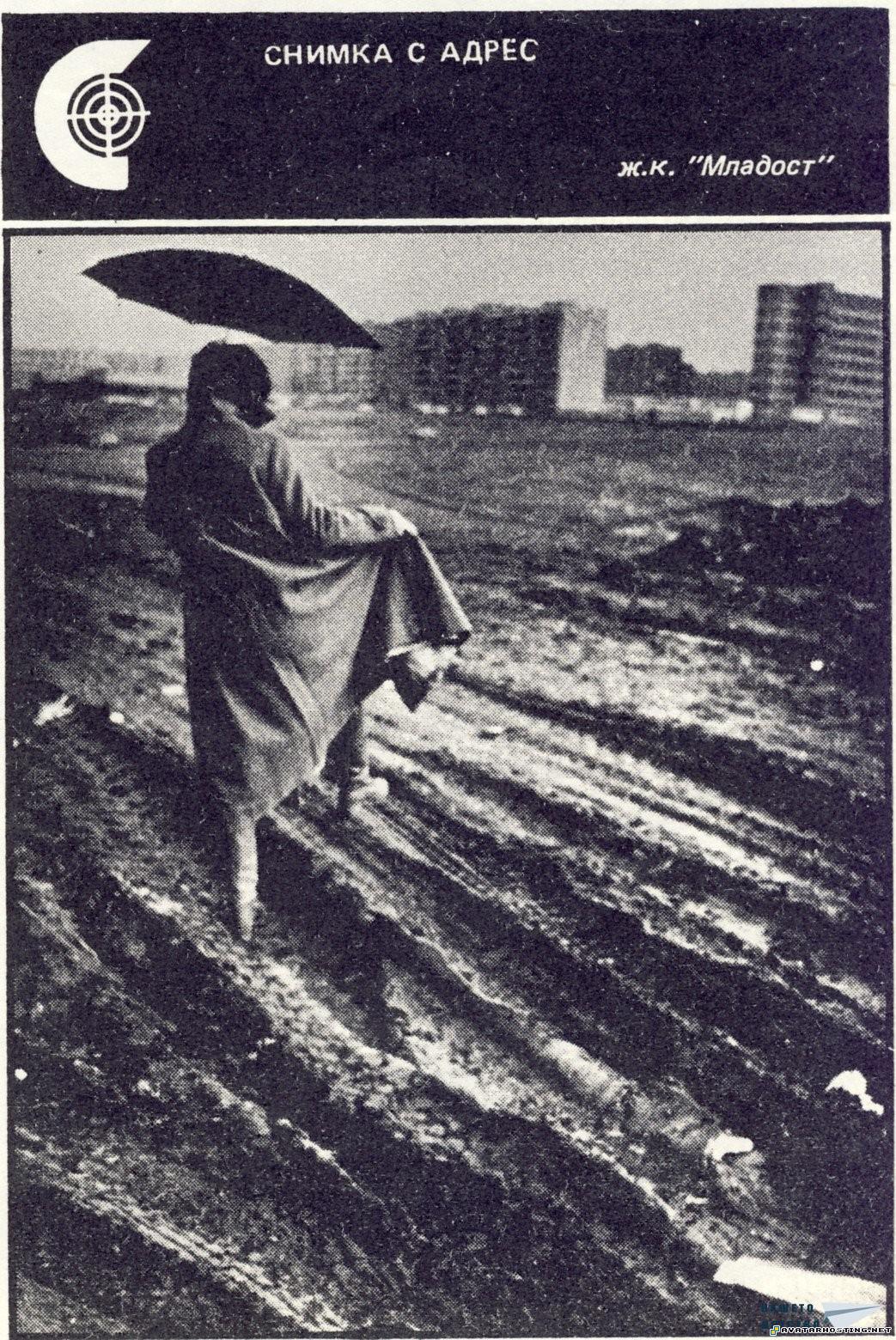 online photo storage zelda avatar grasshoppers carnivores 1233518570_kalenmladost