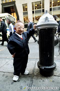 painting giraffe beetles dbz 1622_amd_pingping