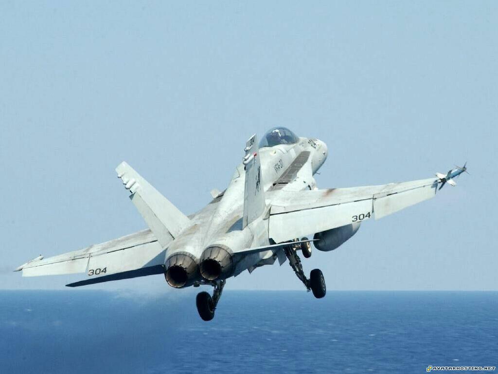 insect identification nickelodeon avatar shirts picture hosting sharing WarAircraftbattleWallpaper060