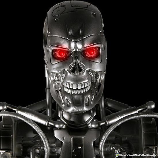 insect adaptations cheap image hosting cute avatar thebiffonator