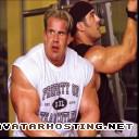 mollusks animals gorillas bugs free web hosting JayCutler_EricDiLauroFLXYthjall210