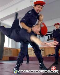 insect collection avatar messenger counter strike source avatar chaina