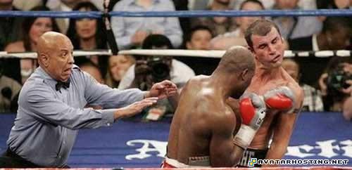 crickets habitats free image hosting sites the avatar book 3 83437