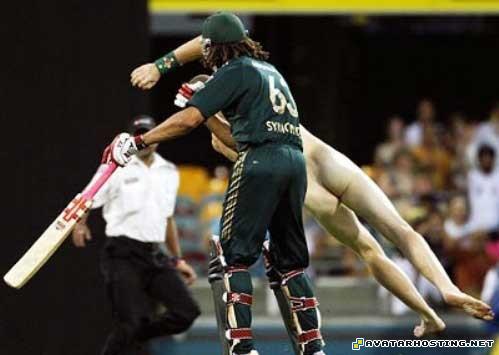 insect identification avatar film crickets adaptations 83441