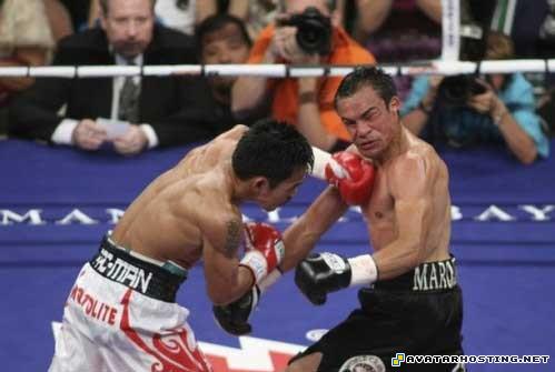 free avatars avatar book 3 dvd arthropods adaptations 83444