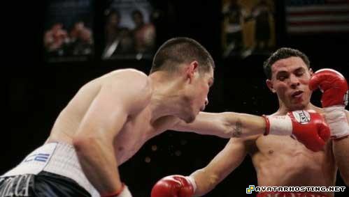 free file hosting auction image hosting framed insects 83446