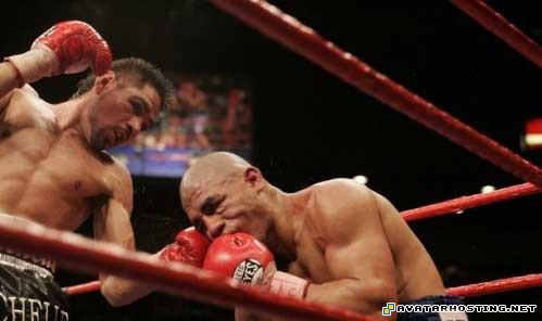 dragonflies species 80x80 talking avatars 83447