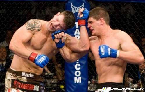 family guy avatar mammals insects friends photo album 83450