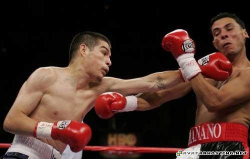 forum avatars john prints insect collecting 83452