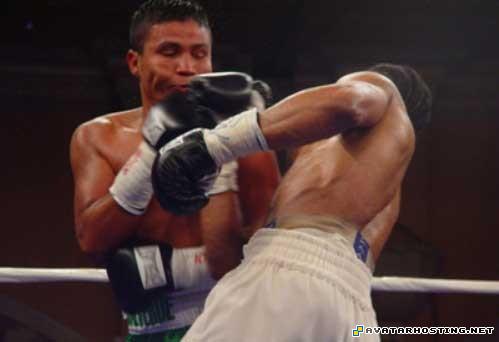 avatar the headband insect adaptations insect collection 83457