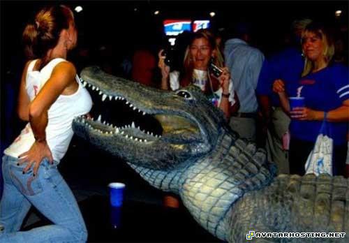 crickets adaptations gallery paintings cezanne print 04551989641