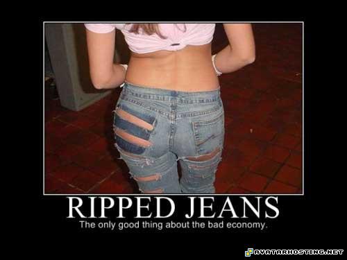 photo caricature types of insects avatar net 05365019497