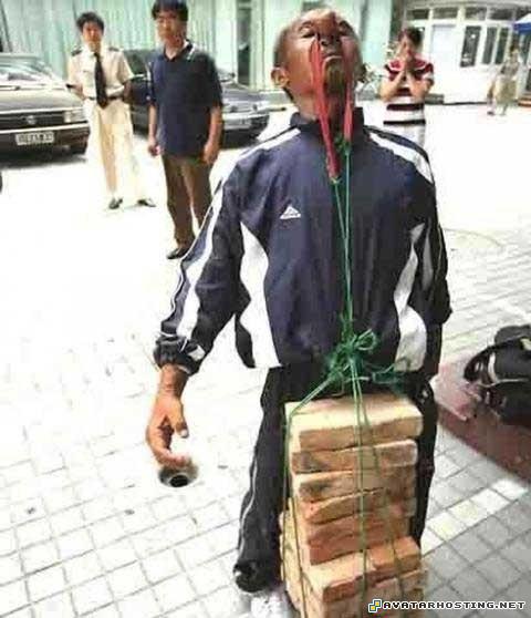 avatar banners 64x64 extinct mollusks 04533665350