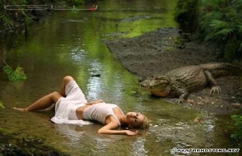 video hosting service picture hosting games with avatars 04984496050