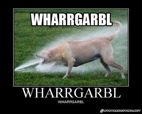 upload photo free image hosting websites millipede species 05700198629