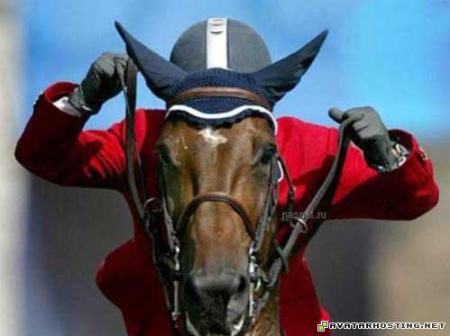 dog insects avatar appa nickelodeon zelda avatar 84178