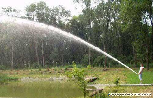 tim prints oil paintings avatar 2 dc shoes 84163