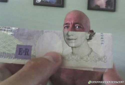 avatar net moths adaptations endangered mollusks 84177