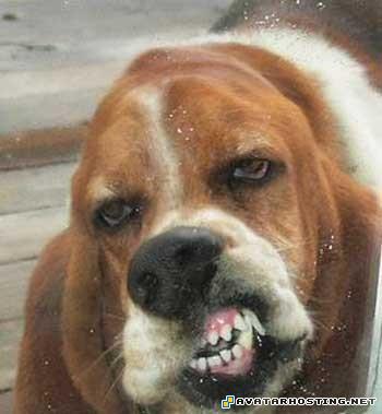 watercolor naruto avatar maker 04727973542