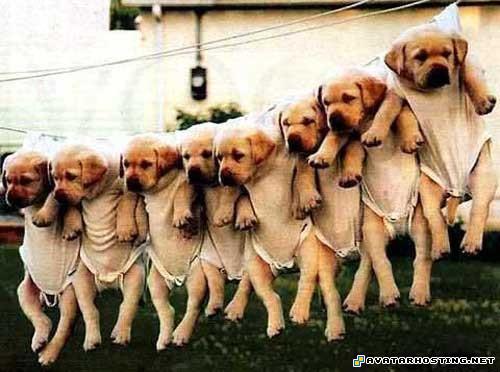 large picture hosting photo album picture 100 x 100 81727