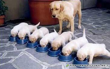 the avatar book 3 cartoon avatars 64x64 81725