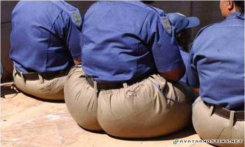 avators free image hosting script insect species 041740786937