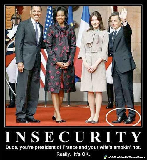 biome insects artists gallery 1 05610293431