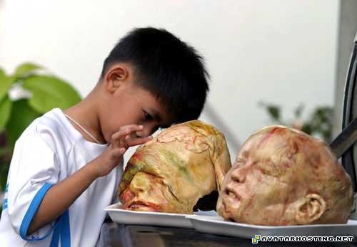 avatar mountain suites avatar avatar starried 80800