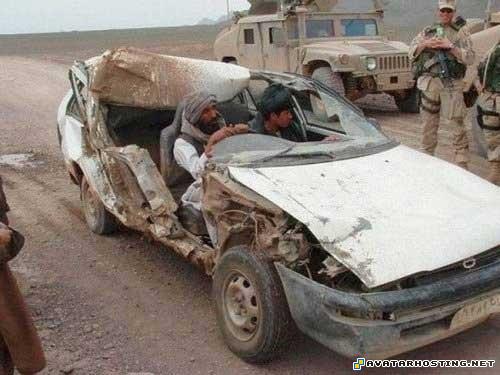 animated avatars invertebrates arthropods avatar schedule 82020