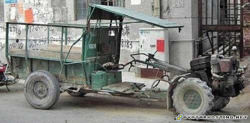 ladybugs habitats insect collection moving avatars 82023