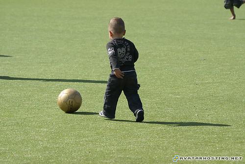 specialized avatar saddle plush ladybugs invertebrates arthropods supertalant