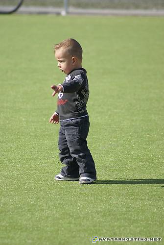 dragonflies adaptations bugs invertebrates 64x64 spelverdelen