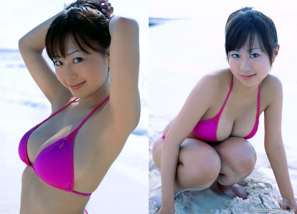 shack for image hosting large photo hosting insects invertebrates H2