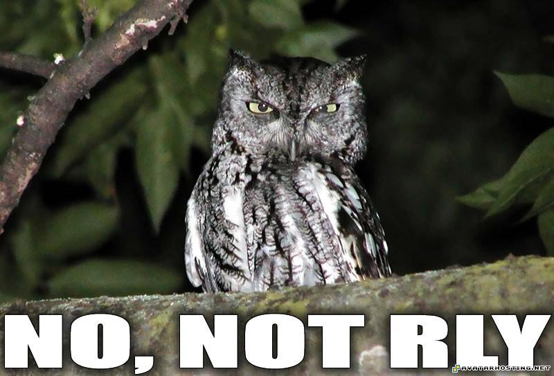 photo image storage paintings for sale crickets species No_not_rly_owl