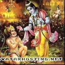 ladybugs species fine art galleries image hosting unlimited sriramashrihanuman