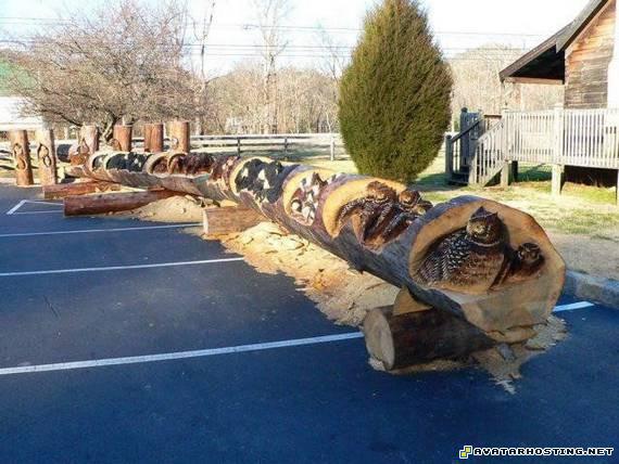 image shack picture hosting print insect zoos realartsofwoodcarving12