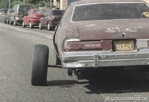 mollusks adaptations contemporary artist xbox avatar game 82025