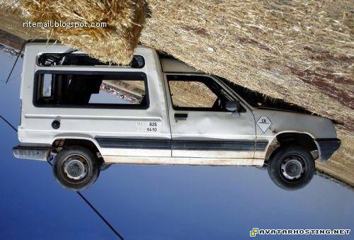 avatar book 2 types of insects photo caricature securedownloady