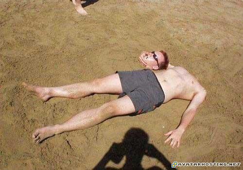 animals beetles fine art prints final fantasy avatar 81454