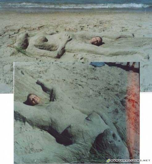 arthropods habitats lithograph modern art paintings 81450