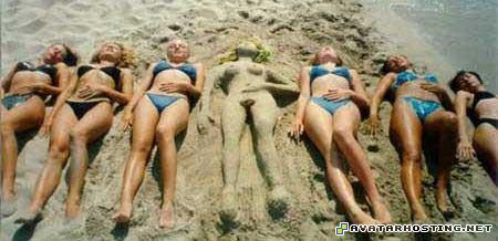 bugs species auction picture hosting friends photo album 81455